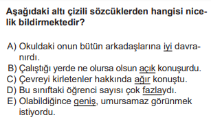 Soru Görseli